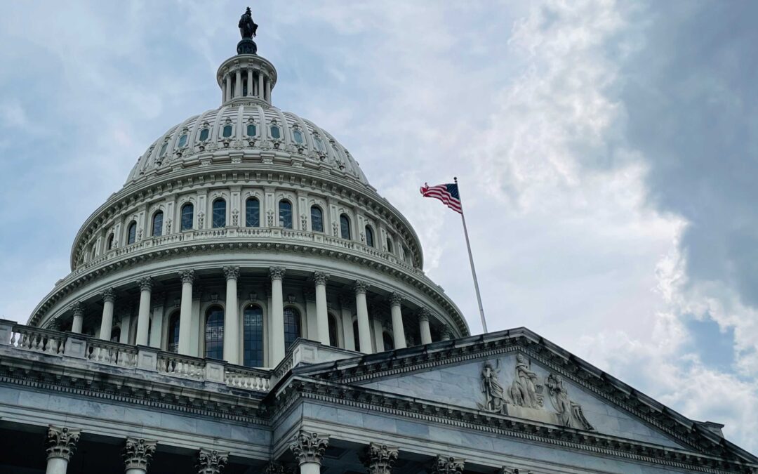 How MSPs for Staff Augmentation Transform Government Operations